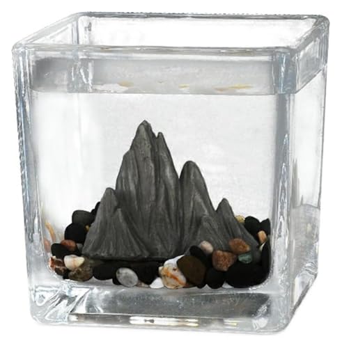 Fischschale, Fischglas, Fischtank, Fischschale Desktop Square Aquarium Büro Kleine Ornamente(Small) von KEuLen