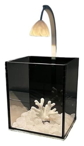 Fischschale, Fischglas, Fischtank, Fischschale Glasaquarium for einen kleinen Fisch Desktop kleines Aquarium mit Lichtern Heimdekoration Aquarien Fischschale, Fischglas, Fischtank, Fischschale Glasaquarium for einen kleinen Fisch Desktop kleines Aquarium mit Lichtern Heimdekoration Aquarien von KEuLen