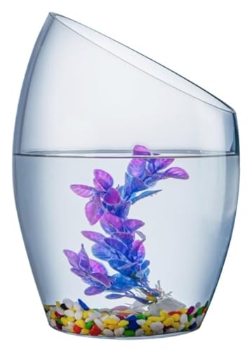 Fischschale, Fischglas, Fischtank, Fischschale Transparentes Glas Kleines Aquarium Mehrzweck-Goldfischaquarium(Large) von KEuLen