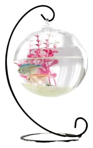 Fischschale, Fischglas, Fischtank, Fischschale for Aufhängen, transparent, for den Schreibtisch, kleine Aquarien(Black,Medium) von KEuLen