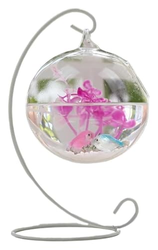 Fischschale, Fischglas, Fischtank, Fischschale for Aufhängen, transparent, for den Schreibtisch, kleine Aquarien(White,Large) von KEuLen