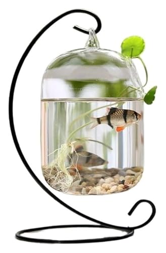 Fischschale, Fischglas, Fischtank, Glas Kleine Fisch Schüssel Metall Rahmen Hängen Desktop Dekorative Fisch Tanks Aquarien(Black,Large) von KEuLen