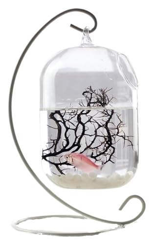 Fischschale, Fischglas, Fischtank, Glas Kleine Fisch Schüssel Metall Rahmen Hängen Desktop Dekorative Fisch Tanks Aquarien(White,Large) von KEuLen