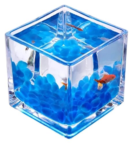 Fischschale, Fischglas, Fischtank, Glas Quadrat Fisch Tank Verdickt Tisch Top Transparent Kampf Fisch Schüssel(Large) von KEuLen