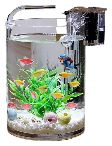 Fischschale, Fischglas, Fischtank, Glasfischaquarium Wohnzimmer Büro Desktop Kleines transparentes Goldfischaquarium(30x25cm) von KEuLen