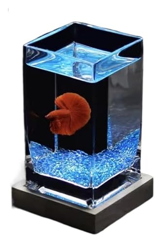 Fischschale, Fischglas, Fischtank, Kleine Fischschale aus verdicktem Glas for den Schreibtisch mit Holzsockel(Blue02) von KEuLen