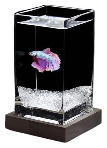 Fischschale, Fischglas, Fischtank, Kleine Fischschale aus verdicktem Glas for den Schreibtisch mit Holzsockel(White02) von KEuLen