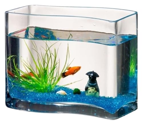 Fischschale, Fischglas, Fischtank, Transparentes Glas-Goldfisch-Aquarium, kleines Desktop-Aquarium, Schildkrötenbecken Fischschale, Fischglas, Fischtank, Transparentes Glas-Goldfisch-Aquarium, kleines Desktop-Aquarium, Schildkrötenbecken von KEuLen