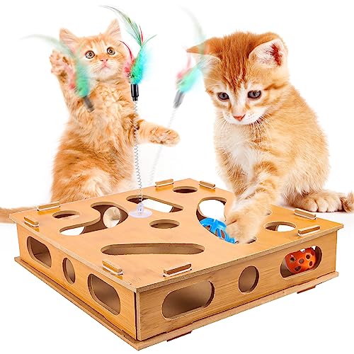 Interaktives Katzenspielzeug, Katze Selbst Unterhaltung Spielzeug Box mit Katze Teaser Stick - Kann in Kombination mit Lebensmitteln und eigenem Spielzeug verwendet Werden von KFDDRN