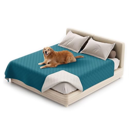 wasserdichte Hundedecke, rutschfeste Hundedecke, Waschbar Haustier Decke Für Hunde, Couchmöbelschutz Für Kinder Hund Katze Autositz (68"*82",Dunkelblau) von KFDZSW