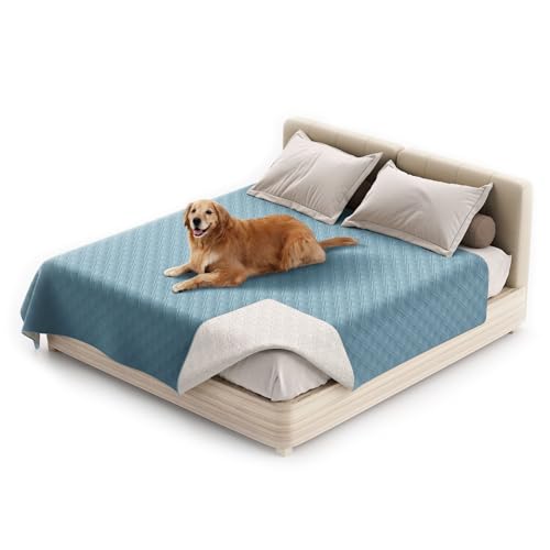 wasserdichte Hundedecke, rutschfeste Hundedecke, Waschbar Haustier Decke Für Hunde, Couchmöbelschutz Für Kinder Hund Katze Autositz (68"*82",Hellblau) von KFDZSW