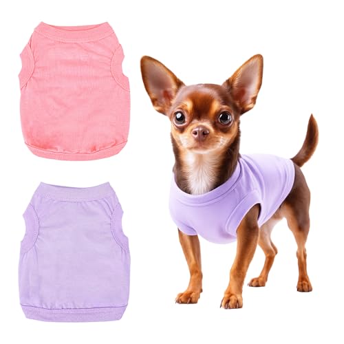 KFHENSOMR Einfarbige Chihuahua-Kleidung, 2 Stück, Baumwoll-Hunde-T-Shirt für kleine Hunde, Shih Tzu Zwergspitz-Shirt, Hundekleidung für mittelgroße und kleine Hunde (Rosa, Violett) von KFHENSOMR