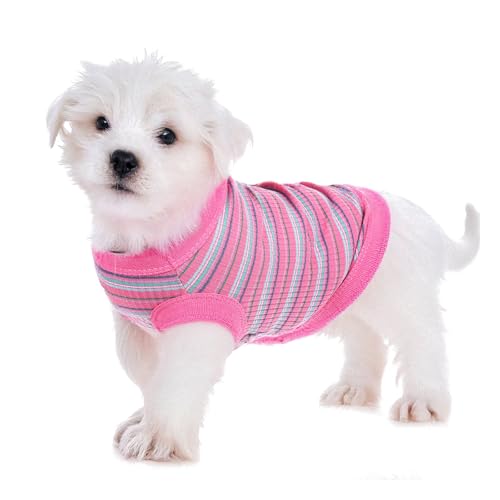 KFHENSOMR Hunde-Shirts für kleine Hunde, ärmellos, leicht, dehnbar, Baumwolle, ärmellos, für kleine Rassen, atmungsaktiv, Chihuahua-Kleidung (Rosa, gestreift) von KFHENSOMR