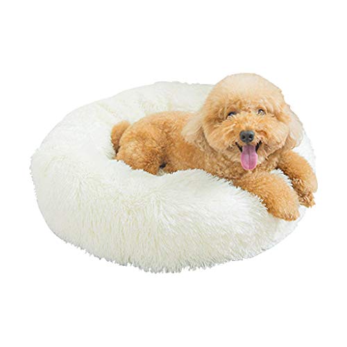 KG7HQRP Haustierbett für kleine Hunde, Mini-Hundebett, selbstwärmend, für Herbst und Winter, für den Innenbereich, Schlummerfunktion, gemütlich, Kätzchen, Teddy-Zwinger (3 Größen (Größe: 808018 cm KG7HQRP Haustierbett für kleine Hunde, Mini-Hundebett, selbstwärmend, für Herbst und Winter, für den Innenbereich, Schlummerfunktion, gemütlich, Kätzchen, Teddy-Zwinger (3 Größen (Größe: 808018 cm von KG7HQRP