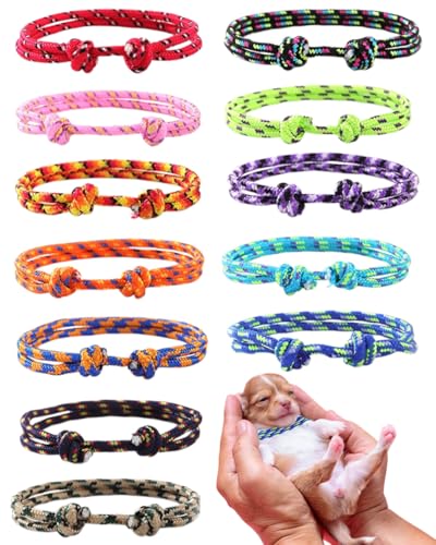 KGDUYC 12 Stück Welpen ID Halsbänder,Haustierhalsbänder,Einstellbar Soft Welpen Kitten Halsbänder,Halsband für die Lieferung von Haustieren, Halsband für Neugeborene,für Neugeborene Welpen Kätzchen KGDUYC 12 Stück Welpen ID Halsbänder,Haustierhalsbänder,Einstellbar Soft Welpen Kitten Halsbänder,Halsband für die Lieferung von Haustieren, Halsband für Neugeborene,für Neugeborene Welpen Kätzchen von KGDUYC
