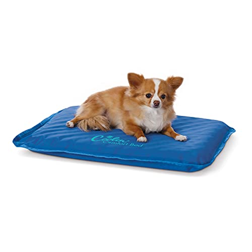 K&H 771704 Coolin' Comfort Bed, kühlendes Hundebett von K&H