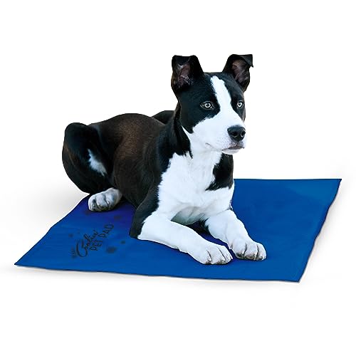 K&H 771787 Coolin' Pet Pad - kühlende Hundematte - Groß, L von K&H