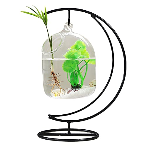 KHBNHJ Glas-Fischschale, zum Aufhängen, kreatives Glas, Goldfischglas, zum Aufhängen, für Heimdekoration, mit Halterung, A3 von KHBNHJ
