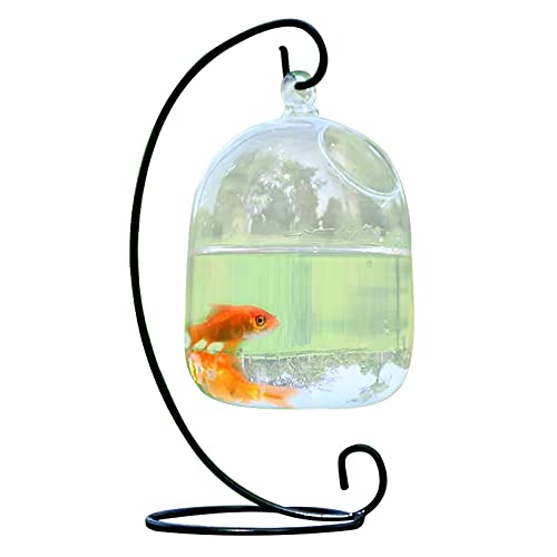 KHBNHJ Glasfischglas zum Aufhängen, kreatives hängendes Goldfischglas zum Aufhängen, für Heimdekoration mit Halterung, Schwarz von KHBNHJ