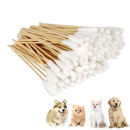 KHDULQ 100 Stücke Wattestäbchen für Hunde, Ohrreiniger für Hunde Milben Hund Wattestäbchen Lang Ohr Reinigungstupfer Ohr Reinigung für Haustiere Wattestäbchen für Haustiere, Hunde, Katzen KHDULQ 100 Stücke Wattestäbchen für Hunde, Ohrreiniger für Hunde Milben Hund Wattestäbchen Lang Ohr Reinigungstupfer Ohr Reinigung für Haustiere Wattestäbchen für Haustiere, Hunde, Katzen von KHDULQ