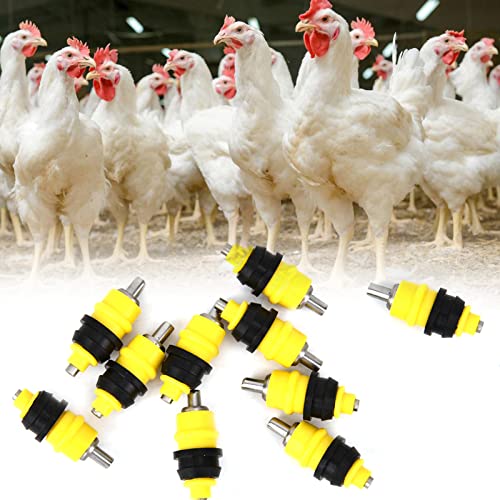 10pcs Hühnchen -Trinkern Brustwarzen, Automatische Geflügelnippel, Feeder Water Trinker Wasserer für Küken Enten Wachteln Truthahn von KIMISS