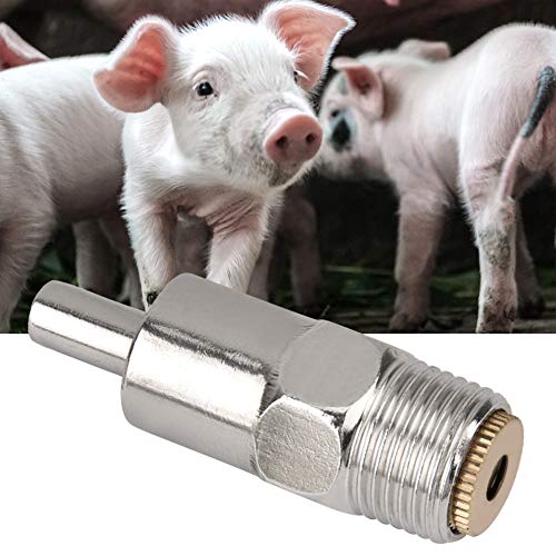 Edelstahl-Nippeltränke mit Kupferkappe für Schweine – Futterspender für Tiertrinkwasser von KIMISS