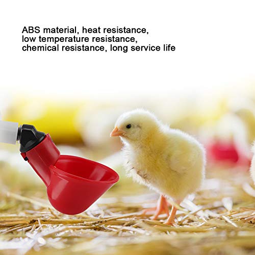 Geflügelvogelwasserspender, 5pcs Automatische Hühnchen -Trink -Spender Brunnen & Wasserertrinker Plastikbecher Schalen für Hinterhöfe Ducks Wachteln Trinker Werkzeug Tools (Röhrchen mit 6-teiliger von KIMISS