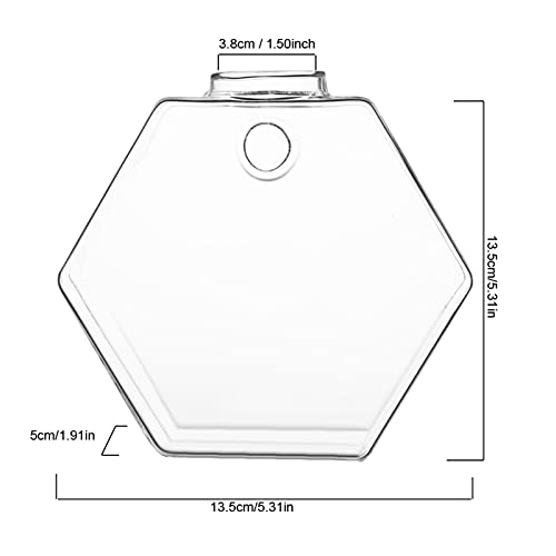 Hydroponischer Behälter, Transparent, Zum Aufhängen, Glasvasen, Zwiebelform, Gartengeräte, Bewässerungsgeräte, Wandvase, Terrario da Appendere, Luftpflanzen-Terrarium für Hydroponischer Behälter, Transparent, Zum Aufhängen, Glasvasen, Zwiebelform, Gartengeräte, Bewässerungsgeräte, Wandvase, Terrario da Appendere, Luftpflanzen-Terrarium für von KIMISS