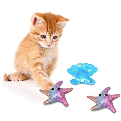 Interaktives Katzenkratz-Trainingsspielzeug-Set – 4 Fellpflege-Spielzeuge in Form Einer Seesternmuschel für Katzen, um Ihre Krallen zu Entfernen und Aktives Spielen zu Fördern Interaktives Katzenkratz-Trainingsspielzeug-Set – 4 Fellpflege-Spielzeuge in Form Einer Seesternmuschel für Katzen, um Ihre Krallen zu Entfernen und Aktives Spielen zu Fördern von KIMISS