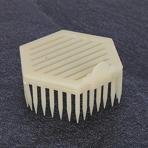 KIMISS 10pcs Hexagonaler Königin Käfig - Wesentliches Bienenzucht -Tool für eine Sichere Bieneninspektion und Koloniemanagement von KIMISS