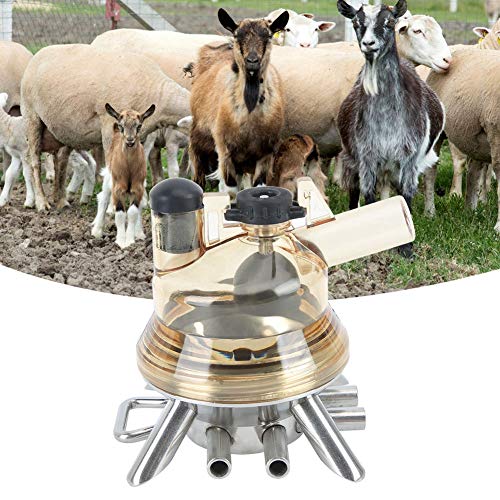 KIMISS 240ccm Melkklauenmilchsammlerzeug mit Edelstahlbasis für Rinder und Schaf KIMISS 240ccm Melkklauenmilchsammlerzeug mit Edelstahlbasis für Rinder und Schaf von KIMISS