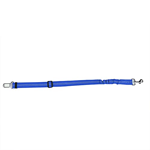 KIMISS Einstellbare Reflektierende Elastische Haustierautos Sicherheitsgurtgurte Blei -Leine für Hunde & Katzen - Blau (Blue) von KIMISS