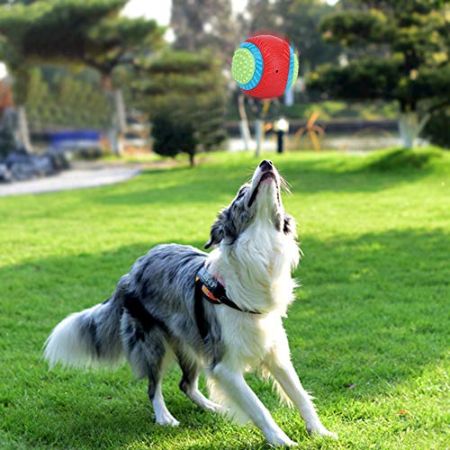 KIMISS Interaktiver Hundeball aus Gummi für die Zahnreinigung und das Training – Quietschendes, Federndes Kauspielzeug für Hunde – für Zahngesundheit und Spielzeit KIMISS Interaktiver Hundeball aus Gummi für die Zahnreinigung und das Training – Quietschendes, Federndes Kauspielzeug für Hunde – für Zahngesundheit und Spielzeit von KIMISS