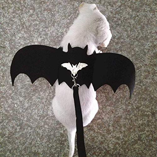 KIMISS Pet Cat Dog KostüM Fledermausflügel Wandergurt Weste mit Leine - M -Größe Einzigartiger Schwarzer Brustgurt für Halloween & Weihnachtsspaß (M) von KIMISS