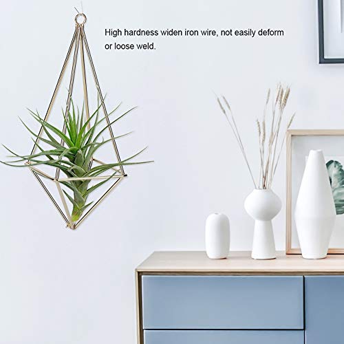 KIMISS Quadrilateral Air Plant Halter - Elegant Hängende Tillandsia -Rack für Zimmerdekor (Gold) von KIMISS