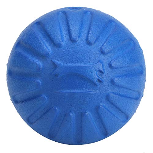 KIMISS Schwimmendes Eva-Hundeballspielzeug – Zum Apportieren und Training, Ideal für Hunde Aller Größen, Ungiftig und Sicher, Interaktives Haustierspielzeug für Spaß Im Freien (Blue) von KIMISS