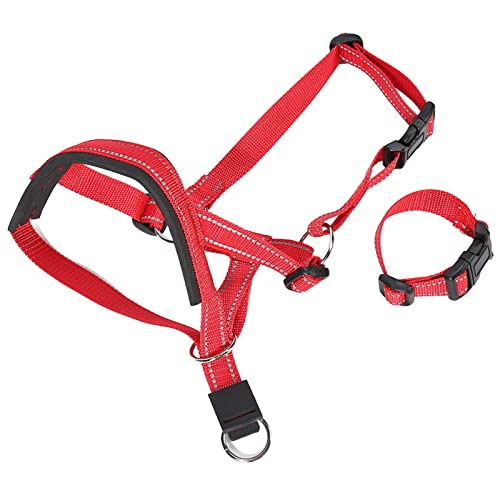 Maulkorb für Hunde, Atmungsaktiv, Verhindert Maulkorb, Nylon mit Riemen, Maulkörbe, Beißen, Bellen, Kauen, Mundschutz für Gehtraining, Weiches Haustier, kein Bellen, L (M) von KIMISS