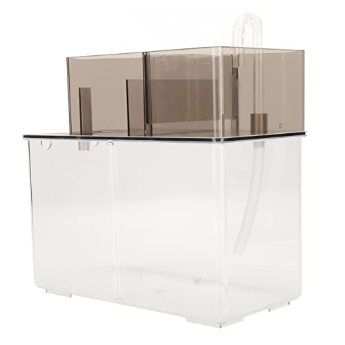Mini-Desktop-Aquarium mit Filter – Kleines, Umweltfreundliches Aquarium für Zuhause und Büro, Ideal für Goldfische und Aquascaping Mini-Desktop-Aquarium mit Filter – Kleines, Umweltfreundliches Aquarium für Zuhause und Büro, Ideal für Goldfische und Aquascaping von KIMISS