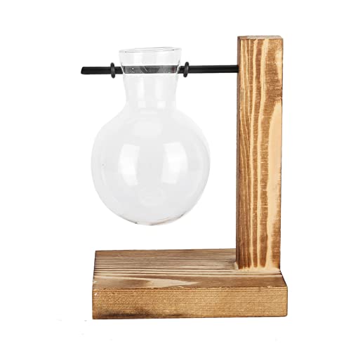 Pflanzenterrarium mit Holzständer, Ständer, Pflanzgefäß, Vase, Transparente Ständer, Glas-Hydrokultur für Desktop-Dekoration, Dekoration Typ A (457 x 457 cm / 179,9 x 179,9 Zoll) von KIMISS
