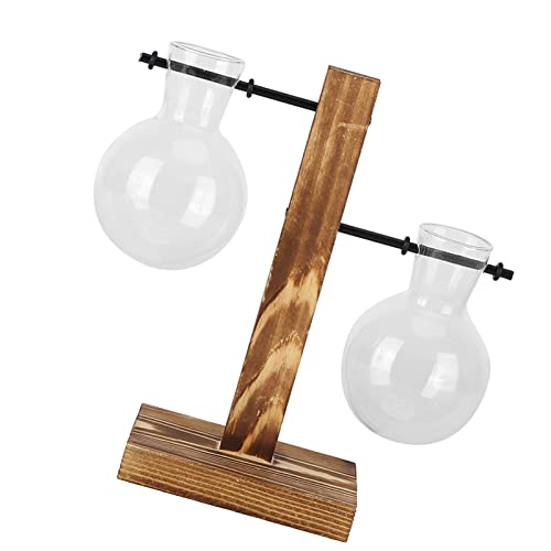 Pflanzenterrarium mit Holzständer, Ständer, Pflanzgefäß, Vase, Transparente Ständer, Glas-Hydrokultur für Desktop-Dekoration, Dekoration Typ A (493 x 493 cm / 194,1 x 194,1 Zoll) von KIMISS