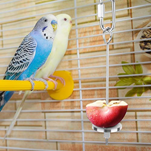 Spieß, Edelstahl Haustier Obstgabel Vögel Futterhalter Feeder Spieß, 5,5 -Zoll Spieß, Edelstahl Haustier Obstgabel Vögel Futterhalter Feeder Spieß, 5,5 -Zoll von KIMISS