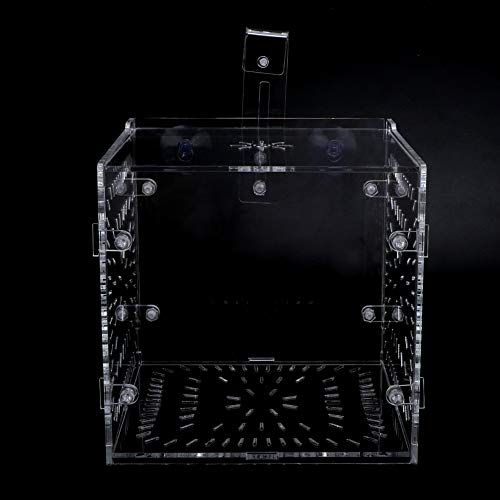 Transparente Isolationsbox für Aquarien mit Trennwand – Ideal für Kranke Fische, Zucht und Trennung – Aquarium-Isolierungseinheit für die Fischpflege (15CM * 15CM * 15CM) von KIMISS