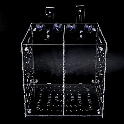 Transparente Isolationsbox für Aquarien mit Trennwand – Ideal für Kranke Fische, Zucht und Trennung – Aquarium-Isolierungseinheit für die Fischpflege (20MC * 20CM * 20CM) von KIMISS