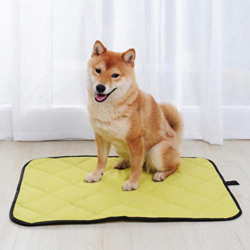wasserdichte Ox-Haustiermatte für Hunde und Katzen – Sommerschlafdecke für Hunde, Autositzbezug, Weich und Bequem (XXL) von KIMISS