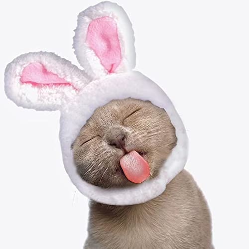 Häschen-Kaninchenohren-Hut, Niedliche Osterhüte für Haustiere Easter Hat Pet Hat Osterkostüm für Katzen Kleine Hunde Anziehpartys Osterkopfbedeckungen von KINBOM
