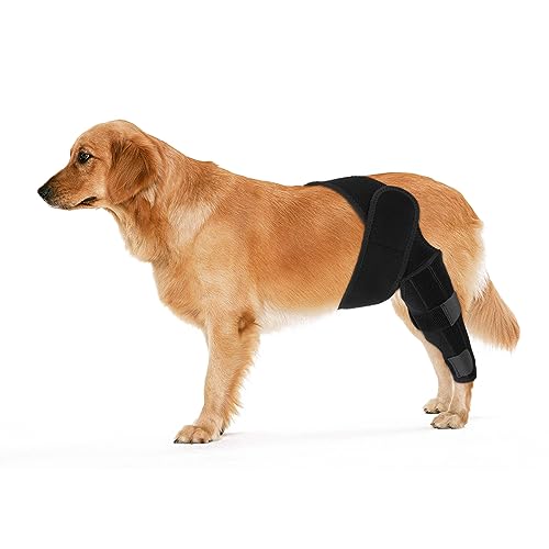 KINBOM Hunde Kniebandage Hinterbein, Hunde Hinterbein Bandage Hunde-ACL-Klammer Hinterbein Hunde-Kniestütze für Hunde-ACL-Klammer Hinterbein (Schwarz, Größe L) von KINBOM
