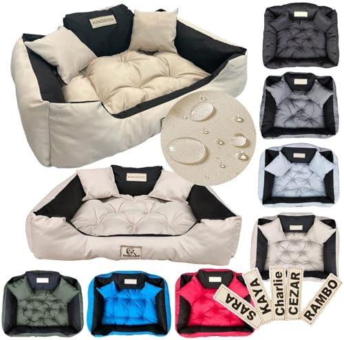 KING DOG Hundebett 145x115 cm 3XL beige - personalisiert mit Namen, wasserdichtes Codura, weiches und Dickes Bett mit großem Kissen und 2 dekorativen KING DOG Hundebett 145x115 cm 3XL beige - personalisiert mit Namen, wasserdichtes Codura, weiches und Dickes Bett mit großem Kissen und 2 dekorativen von KING DOG