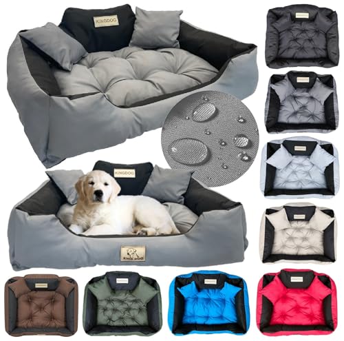 KING DOG Hundebett Kleine Hunde Waschbar S 55 x 45 cm Hundekissen Haustierbett Hundekorb Personalisiert - Name des Hundes Wasserdichtes Material Silikon Füllung Grau KING DOG Hundebett Kleine Hunde Waschbar S 55 x 45 cm Hundekissen Haustierbett Hundekorb Personalisiert - Name des Hundes Wasserdichtes Material Silikon Füllung Grau von KING DOG