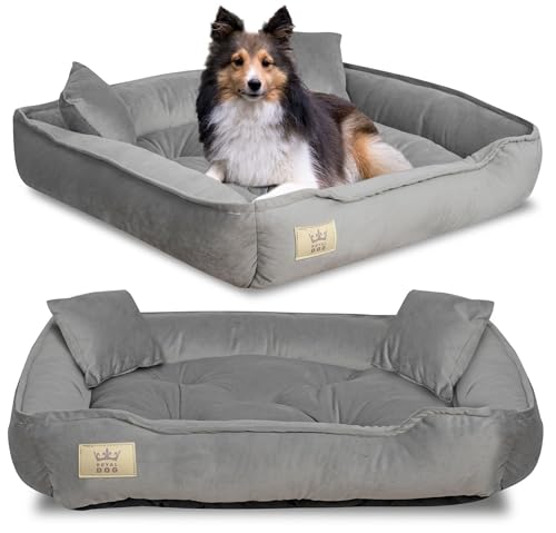 KING DOG Hundebett Mittelgroße Hunde Waschbar M 75 x 65 cm aus Velours Hundekissen Haustierbett Hundekorb Hundebett Abwaschbar Orthopädisches Hundebetten Leicht zu reinigen Silikon Füllung Grau von KING DOG