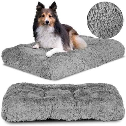 KING DOG Hundebett für Mittelgroße Hunde Flauschiges Betthaus für Hunde L 80 x 60 cm Komfortable Polsterung mit Rutschfester Unterlage Hundekorb Hundematratze Haustierbett in Grau KING DOG Hundebett für Mittelgroße Hunde Flauschiges Betthaus für Hunde L 80 x 60 cm Komfortable Polsterung mit Rutschfester Unterlage Hundekorb Hundematratze Haustierbett in Grau von KING DOG